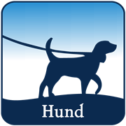 Hund